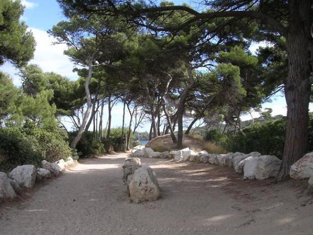 183 D18 PRESQU ILE DE GIENS 1_000028.jpg